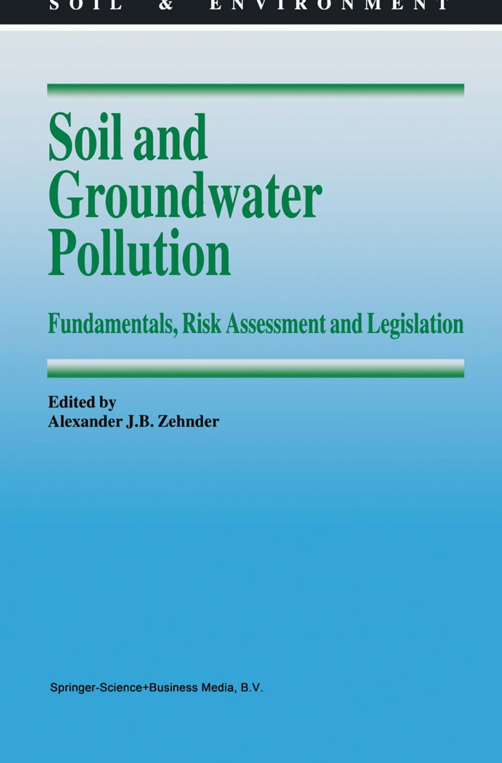 Big bigCover of Soil and Groundwater Pollution