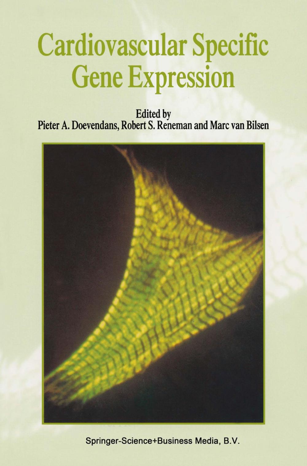 Big bigCover of Cardiovascular Specific Gene Expression