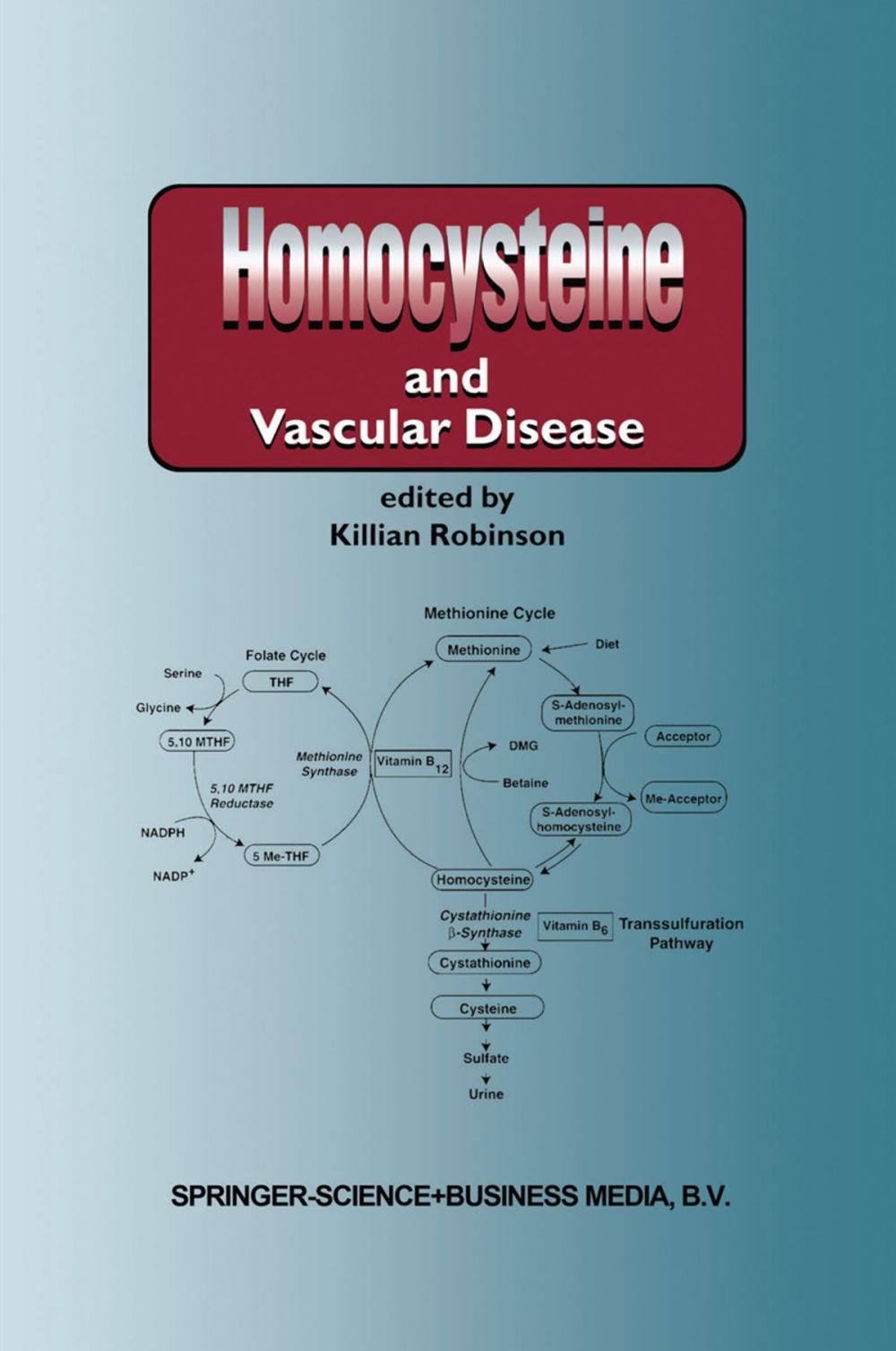 Big bigCover of Homocysteine and Vascular Disease