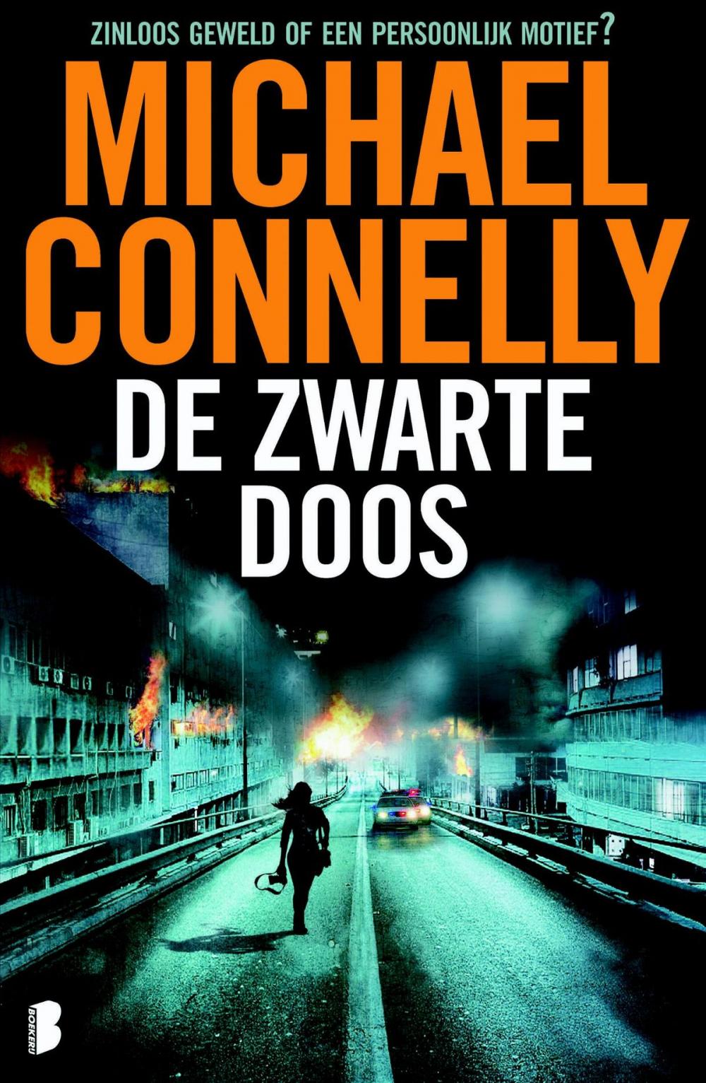 Big bigCover of De zwarte doos