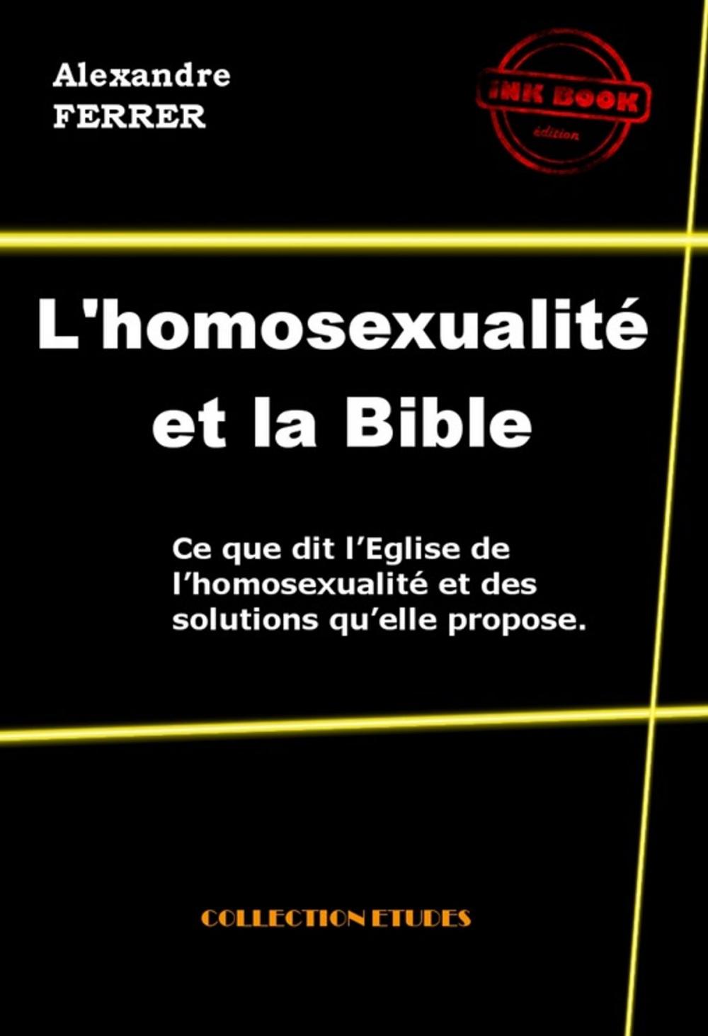 Big bigCover of L'homosexualité et la Bible