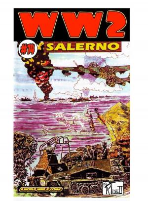 Cover of the book World War 2 Salerno by Randy D Pearson