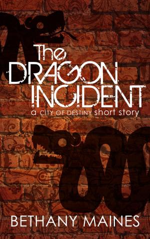 Cover of the book The Dragon Incident by John Meyer