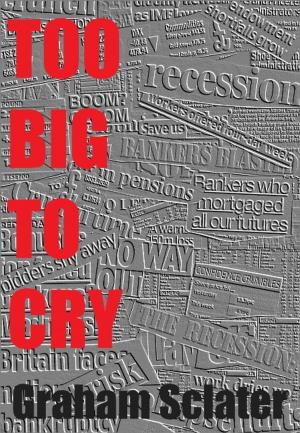 Cover of the book Too Big To Cry by Tabitha