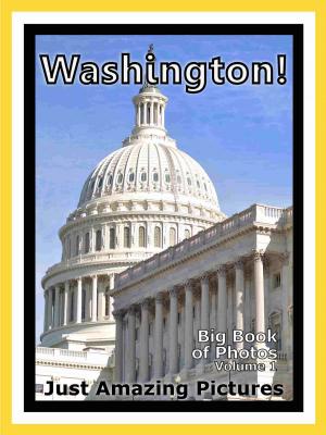Cover of the book Just Washington, DC Photos! Big Book of Photographs & Pictures of Washington City Monuments and Landmarks, Vol. 1 by Luigi Rapagina, Massimiliano Matarazzo
