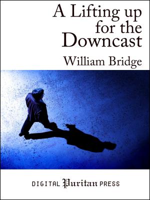 Book cover of A Lifting up for the Downcast