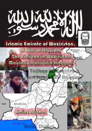 Book cover of Islamic Emirate of Waziristan. A War of Illusions