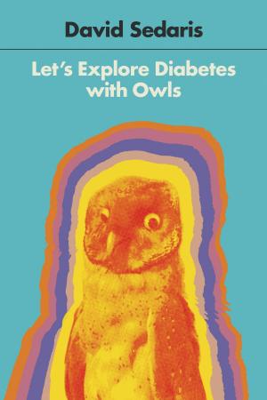 bigCover of the book Let's Explore Diabetes with Owls by 