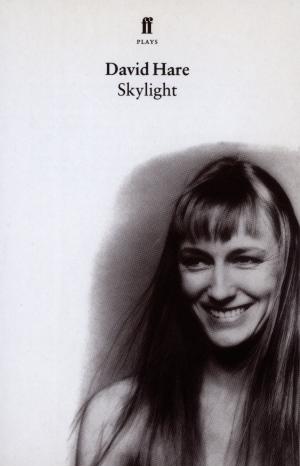 Cover of the book Skylight by Gavin Puckett