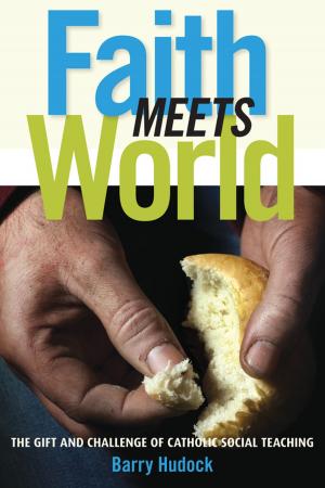 Cover of the book Faith Meets World by Diane Bergant, CSA
