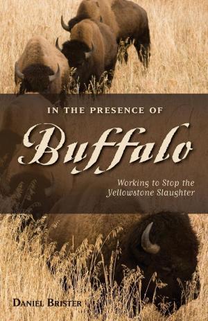 Cover of the book In the Presence of Buffalo by Al Marlowe, Karen Christopherson