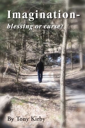 Book cover of Imagination: blessing or curse?