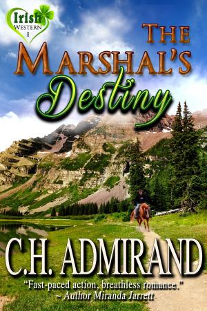 Book cover of The Marshal's Destiny