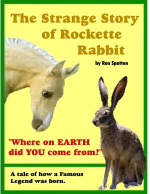 bigCover of the book The Strange Story of Rockette Rabbit by 
