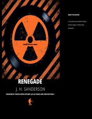 Cover of the book Renegade by Jaan Patterson