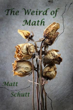 Cover of the book The Weird of Math by Shannon Cooper