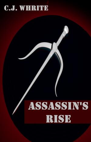 bigCover of the book Assassin's Rise by 