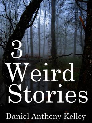 Cover of the book 3 Weird Stories by Sandra Novelly