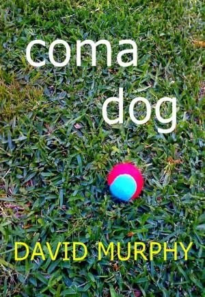 Cover of the book Coma Dog by J. D. CRAYNE