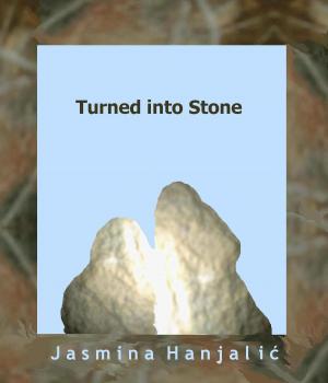 Cover of the book Turned into Stone by Michael O'Reilly