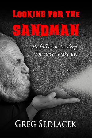 Cover of the book Looking for the Sandman by Sierra Wolf