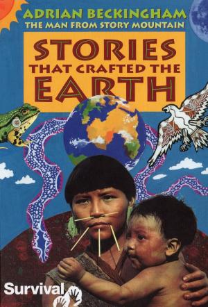 Cover of the book Stories That Crafted The Earth by André Cancian