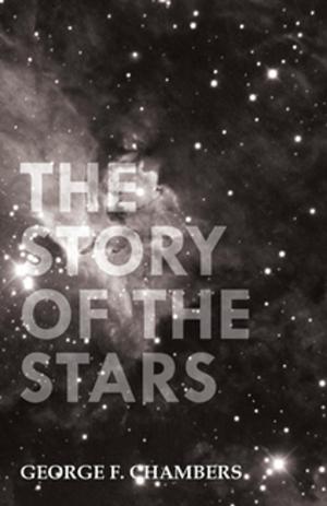 Cover of the book The Story of the Stars by Arnette Heidcamp