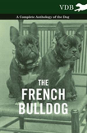Cover of the book The French Bulldog - A Complete Anthology of the Dog by F. J. Christopher