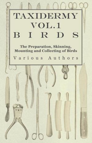 Cover of the book Taxidermy Vol.1 Birds - The Preparation, Skinning, Mounting and Collecting of Birds by James McIntosh