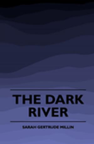 Cover of the book The Dark River (1920) by William Cook