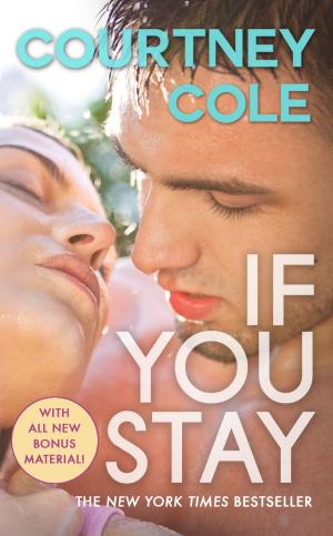 Cover of the book If You Stay by Gerald Celente