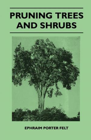 Book cover of Pruning Trees And Shrubs