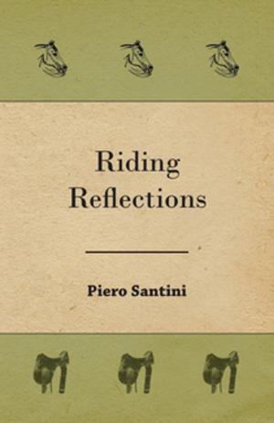 Cover of the book Riding Reflections by Claude G. Bowers