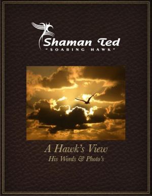Cover of the book A Hawk's View by Peter McDade