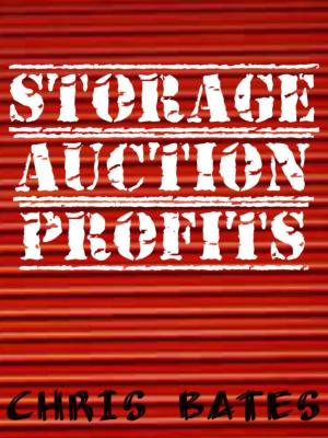 Cover of the book Storage Auction Profits (Beginner's guide to success for winning storage unit auctions) by Glenda Mariner