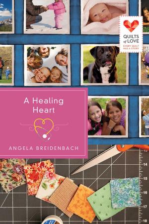 Cover of the book A Healing Heart by Mary Robertson