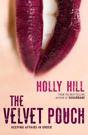 Book cover of The Velvet Pouch