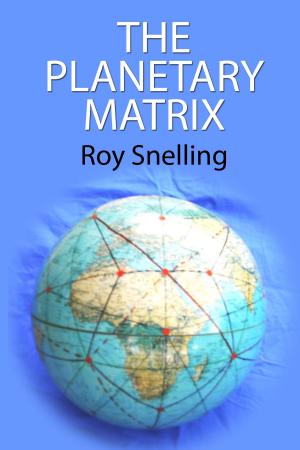 Cover of the book The Planetary Matrix by Satish Jaiswal