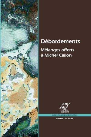 Cover of the book Débordements by Jérôme Michalon