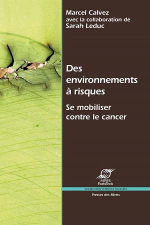 Cover of the book Des environnements à risques by Stéphane Chevrier, Stéphane Juguet, Dominique Boullier