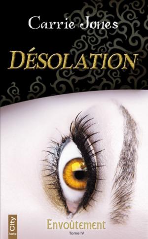 Cover of the book Désolation by Helena Hunting