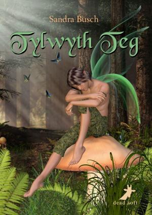 Cover of the book Tylwyth Teg by JF Smith