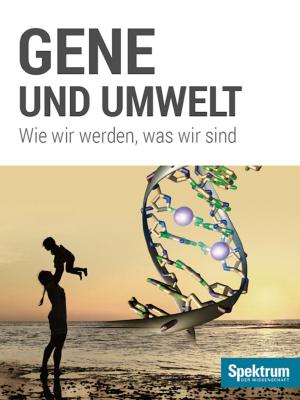 Cover of the book Gene und Umwelt by Spektrum der Wissenschaft, Hans-Joachim Schlichting