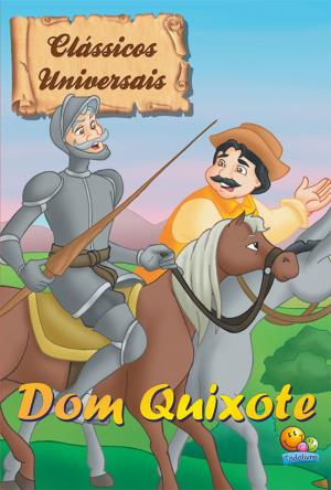 Cover of the book Dom Quixote by Julio Verne