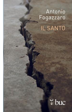 Book cover of Il santo