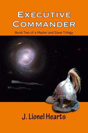 Cover of the book Executive Commander by Rainbow Albrecht