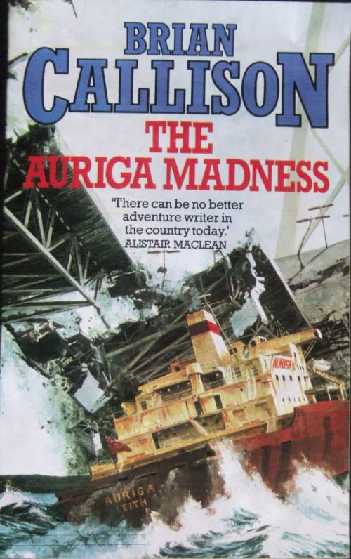 Cover of the book THE AURIGA MADNESS by Brian Callison, Steaship eBooks