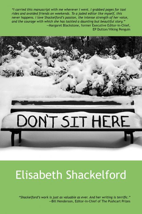 Cover of the book Don't Sit Here by elisabeth shackelford, houselights publishing