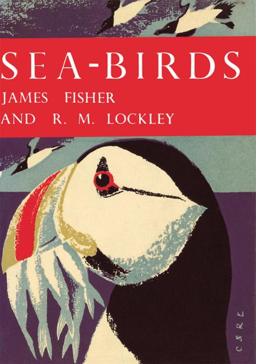 Cover of the book Sea-Birds (Collins New Naturalist Library, Book 28) by James Fisher, R. M. Lockley, HarperCollins Publishers