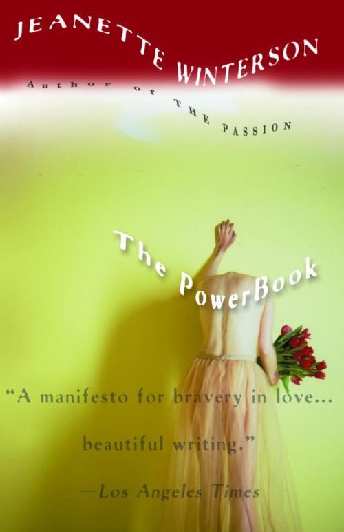 Cover of the book The PowerBook by Jeanette Winterson, Knopf Doubleday Publishing Group